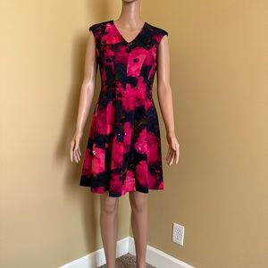 Sandra Darren Fit & Flare Floral Sleeveless Dress, Size 8P